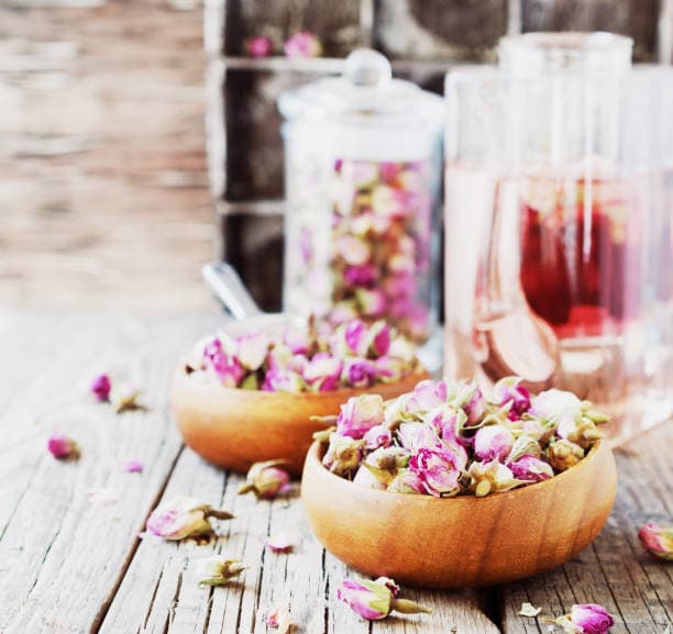 معطرترین گل محمدی اصفهان + مفید و کاربردی